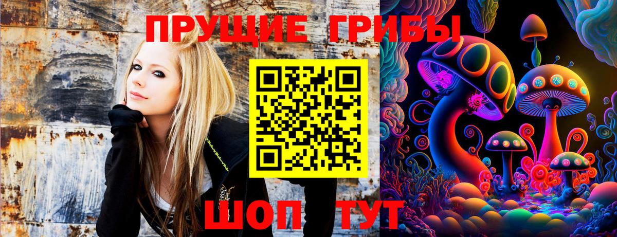 Галлюциногенные грибы Psilocybe Электрогорск
